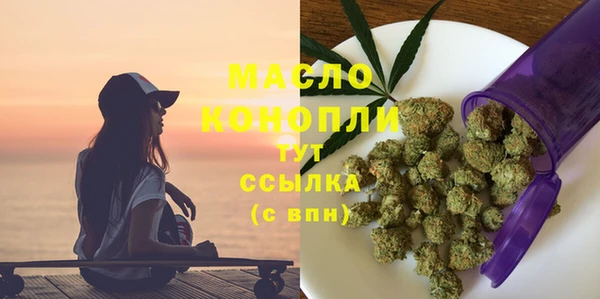 индика Медногорск
