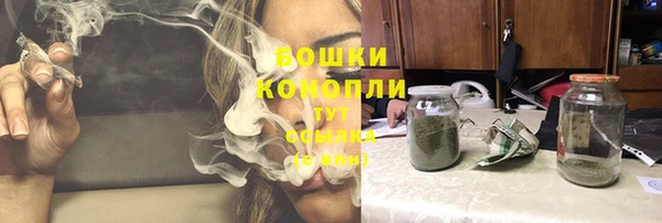 индика Медногорск
