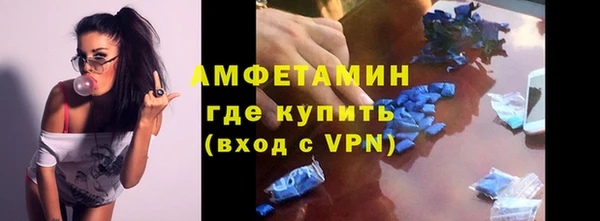индика Медногорск