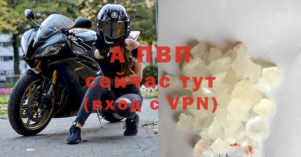 спайс Мегион
