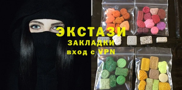 индика Медногорск