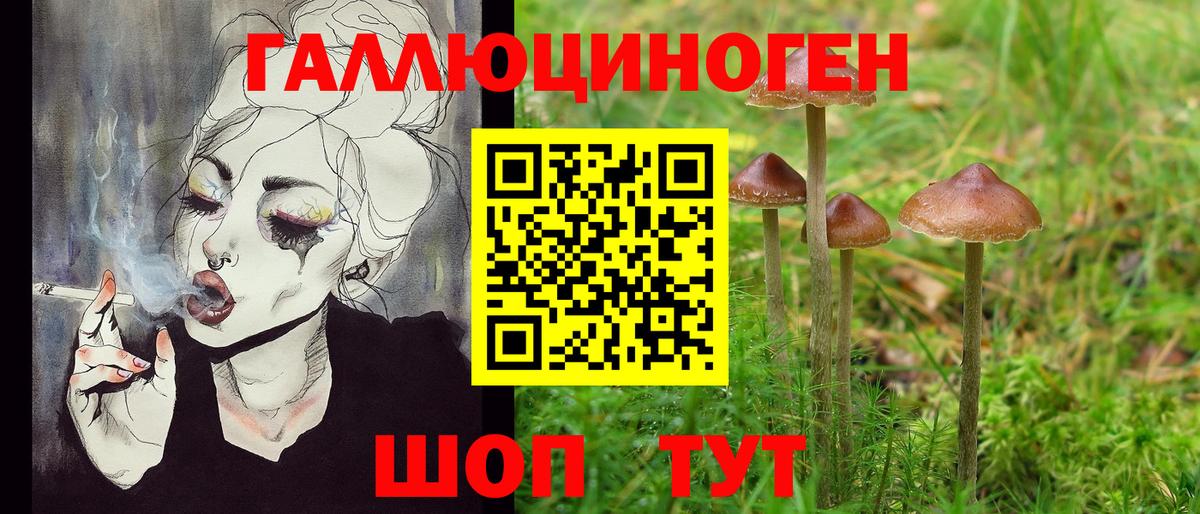 Псилоцибиновые грибы Psilocybine cubensis Мегион